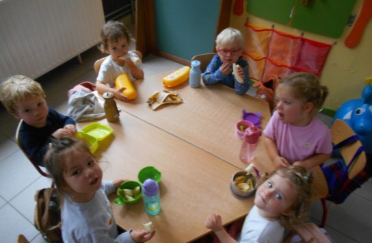  (vergroot foto)
