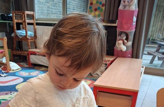  (vergroot foto)