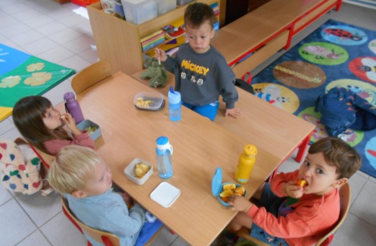  (vergroot foto)
