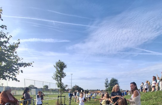  (vergroot foto)